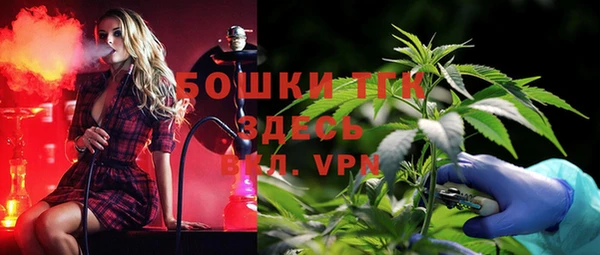 дмт Бронницы